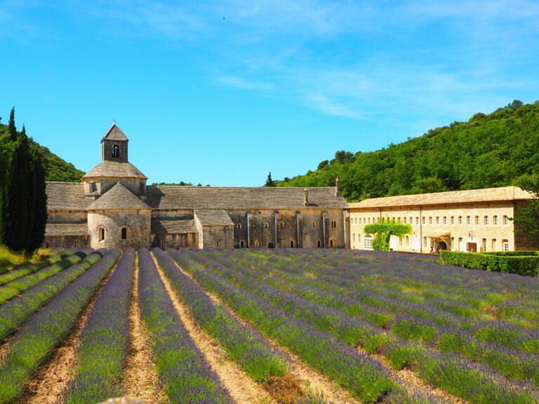 Scenic view of lavender fields and a historic abbey under a clear blue sky in Provence, France.