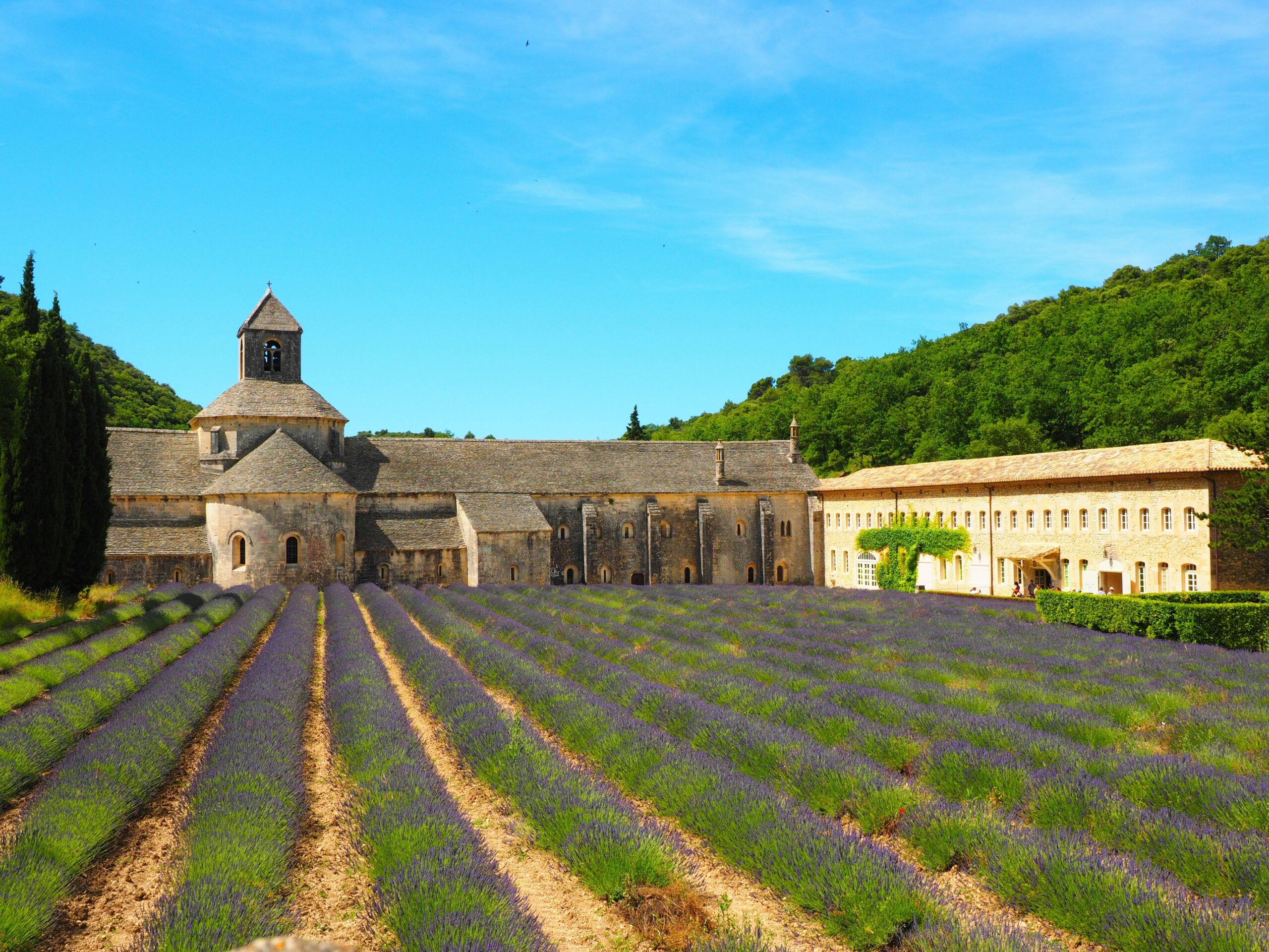 Provence Lavender & Château Wedding